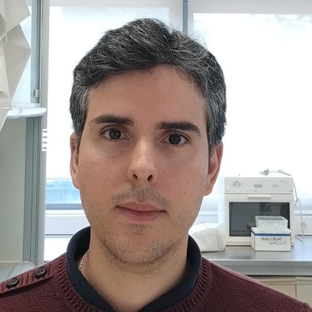 José Felipe Nogueira · Analista de Sistemas